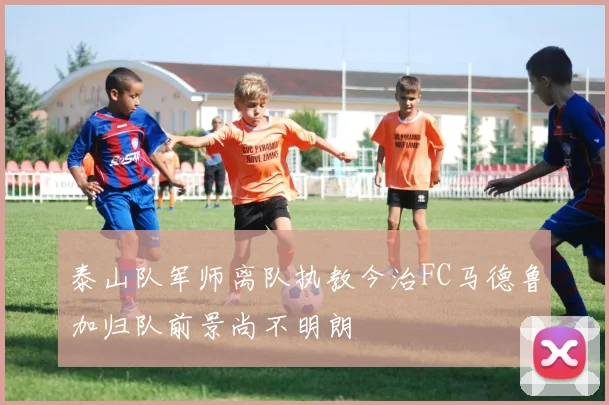 泰山队军师离队执教今治FC马德鲁加归队前景尚不明朗